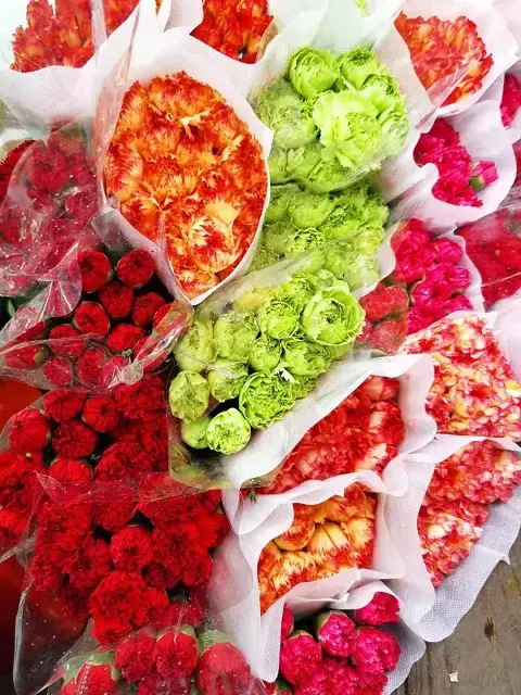 Happy Women’s Day